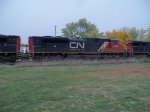 CN 8012